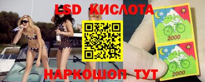 прущие грибы Нарткала