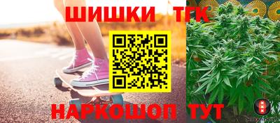 индика Можайск