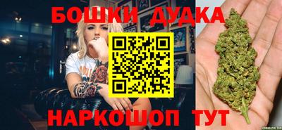 индика Можайск