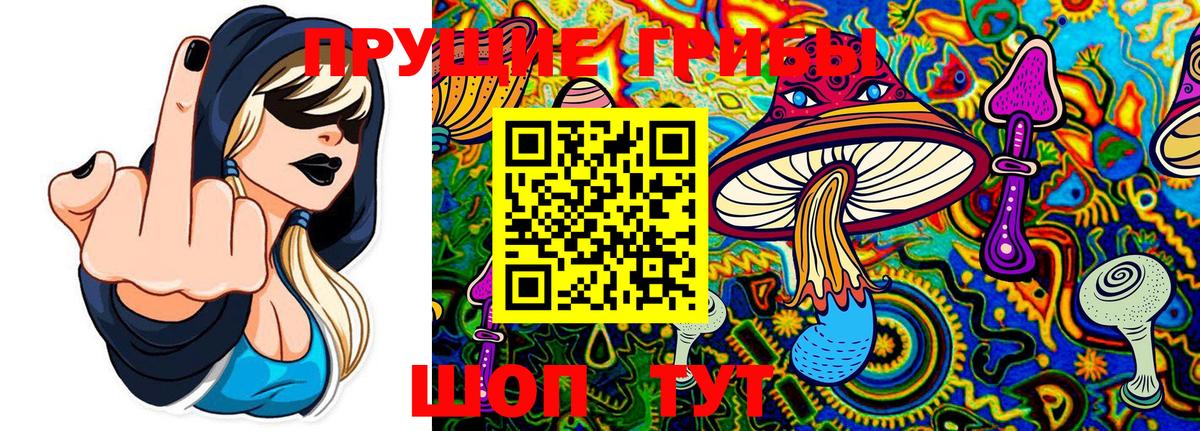 где продают   Псилоцибиновые грибы Magic Shrooms  Рассказово  Вход с VPN  Галлюциногенные грибы GOLDEN TEACHER 